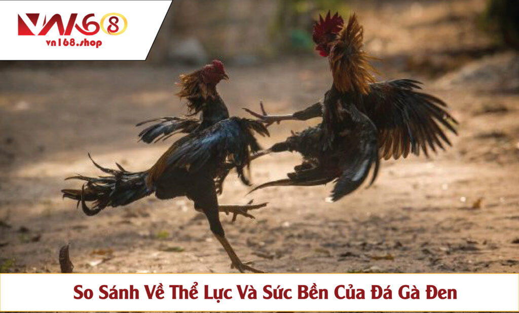 So Sánh Về Thể Lực Và Sức Bền